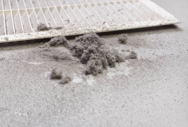 Best Emergency Air Duct Cleaning  in Martha Lake, WA