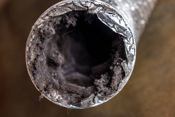 Best Home Air Vent Cleaning  in Martha Lake, WA