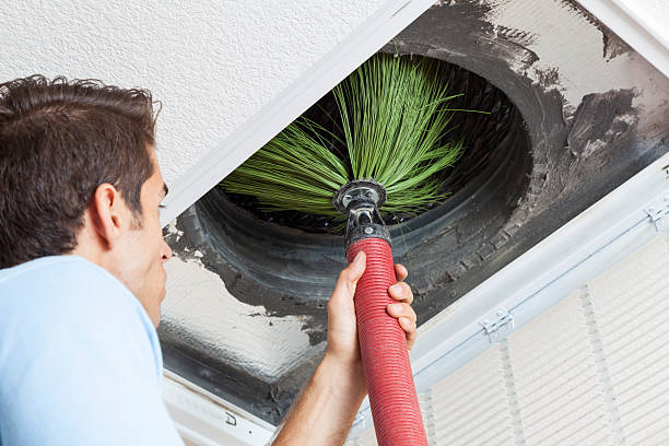 Air Duct Mold Removal in Martha Lake, WA